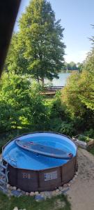a large swimming pool with a tree in the background at LAZARÓWKA - RYBNO in Rybno