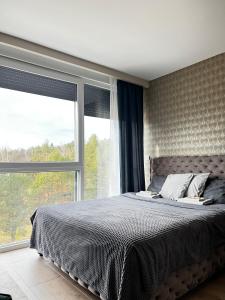 - une chambre avec un grand lit et une grande fenêtre dans l'établissement Apartman Ambijent Divcibare, à Divčibare