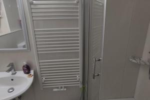 ホーフガイスマーにあるOCTOPUS-2 Monteurwohnung in Zentrum! 2-zkb im 2ogの洗面台とシャワー付きの白いバスルーム