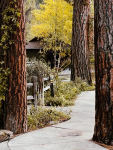 a walking path between two trees with a fence at The Cottages at Bigfork in Bigfork +113 photos