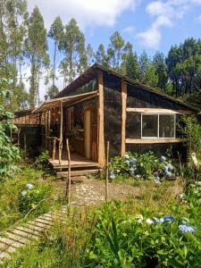 a small wooden house in the middle of a field at Cabaña en el bosque de Chiloé in Quemchi