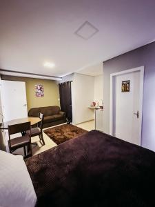 une chambre d'hôtel avec un lit et un salon dans l'établissement Studio próximo Aeroporto e UPF, à Passo Fundo