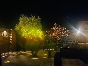 Ogród w obiekcie Le Chai de l'Océan -Maison plage à 300m - Jardin Terrasse