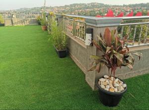 uma varanda com um vaso de plantas na relva em Kampala Executive Suites em Kampala