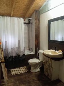 a bathroom with a toilet and a sink at Cabaña en el bosque de Chiloé in Quemchi