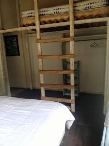a bedroom with two bunk beds and a ladder at Cabaña en el bosque de Chiloé in Quemchi