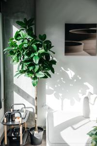 a potted plant in a room next to a bed at Luxurious Hollywood condo in Los Angeles