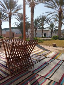 un banc en bois assis sur un tapis planté de palmiers dans l'établissement Garden12 Outdoor & More, à Douz