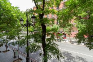 uma rua com uma árvore e uma luz de rua em dobohomes - Bailen em Madri