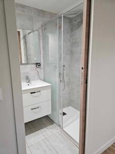 ein Bad mit einer Dusche, einem Waschbecken und einem WC in der Unterkunft un petit studio moderne et conviviale 