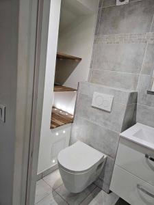 ein Bad mit einem WC und einem Waschbecken in der Unterkunft un petit studio moderne et conviviale 