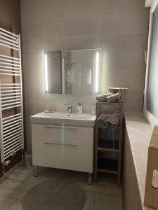 ein Bad mit einem Waschbecken und einem Spiegel in der Unterkunft L’appartement charmant A in Dole