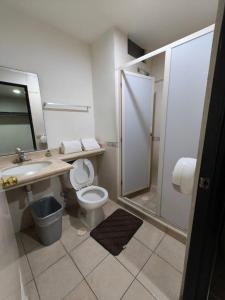 a bathroom with a toilet and a sink and a shower at Hotel Montreal in León