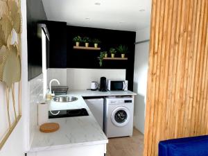 eine Küche mit einer Spüle und einer Waschmaschine in der Unterkunft T2 Cosy near to Disney - Paris - Airport in Meaux