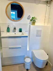 ein Badezimmer mit einem WC, einem Waschbecken und einem Spiegel in der Unterkunft T2 Cosy near to Disney - Paris - Airport in Meaux