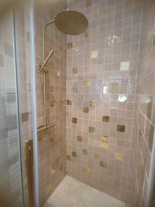 a bathroom with a shower with pink tile at La Glycine, Appartement d'architecte avec vue sur jardin in La Courneuve +20 photos