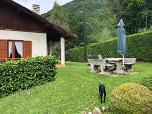 Un chat noir debout à côté d'un banc et d'un parapluie dans l'établissement Appartamento a Lagolo, à Lagolo di Calavino