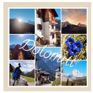 サン・ピエトロ・ディ・カドーレにあるDOLOMITI Ferienwohnung, Appartamento vacanze.の山と青の花のコラージュ