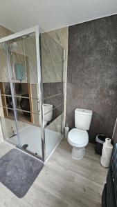 a bathroom with a toilet and a shower at Cosy Corner Suite in Bradford