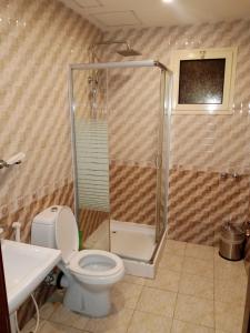 吉達的住宿－فندق العنقود - قريش，带淋浴、卫生间和盥洗盆的浴室