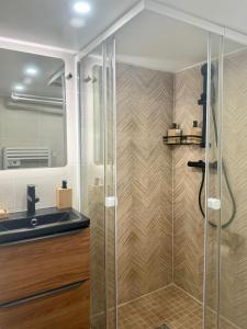 a bathroom with a shower and a sink at Appartement T2 cosy (aéroport - parc des expo - parc Astérix) in Tremblay En France