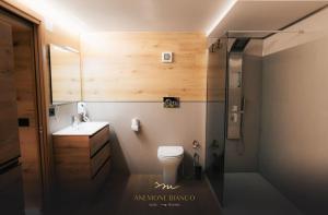 y baño con aseo, lavabo y ducha. en Anemone Bianco Suite Rooms, en Passo del Tonale