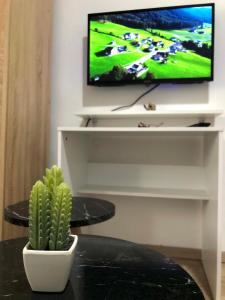 a cactus sitting on a table in front of a tv at Center Studio Apartment Podgorica in Podgorica