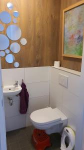 y baño con aseo y lavamanos. en Long-stay family house Meerstad en Groninga