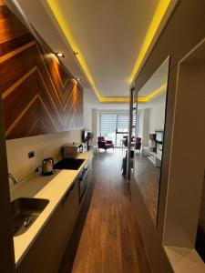 伊斯坦堡的住宿－Luxury apartments，一个带水槽的厨房和一间客厅