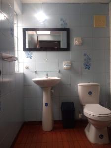 波哥大的住宿－Hostal Norma101，一间带水槽和卫生间的浴室