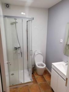 uma casa de banho com um chuveiro, um WC e um lavatório. em Casa da Encosta Chaves em Chaves
