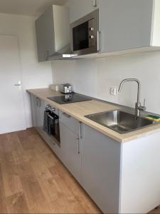 a kitchen with a sink and a microwave at Appartement 59m2 professionnel ou familial Saint Quentin en Yvelines in Montigny-le-Bretonneux