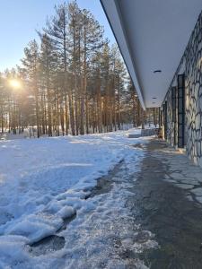 Apartman Silvija Divčibare om vinteren