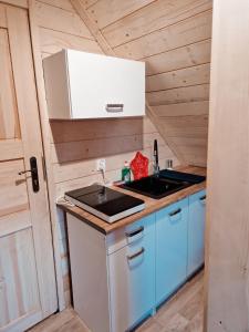 a kitchen with a sink and a stove at Góralska Chata in Czarna Góra