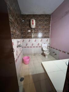 a bathroom with a pink toilet and a pink bucket at Hotel Skylark in Amritsar