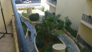 an overhead view of a courtyard with plants in a building at Ruby Star Male Hostel Dubai in Dubai