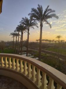 a balcony with palm trees and a sunset in the background at Loulouat Al Reef in Kafr ʼakīm