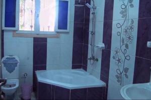 a bathroom with a shower and a tub and a sink at Loulouat Al Reef in Kafr ʼakīm