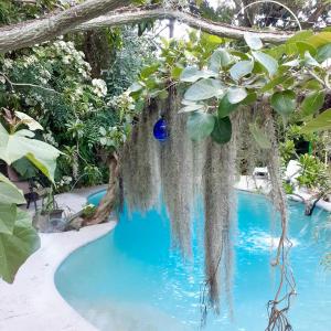 een zwembad met blauw water en een boom bij Unique Art & Nature Hideaway Walk to Wilton Drive in Fort Lauderdale