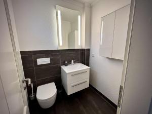 une salle de bain avec toilettes, lavabo et miroir dans l'établissement Ferienhaus-Sliminde-by-Seeblick-Ferien-direkte-Wasserlage-E-Ladesaeule-Sauna, à Olpenitz 31 autres photos