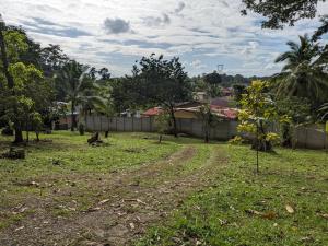 a yard with a dirt road in the grass at Loma Linda Sarapiquí Casa Nueva NEW HOUSE 3bed/2bath in Tirimbina