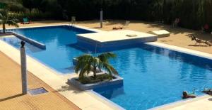 a large swimming pool with a palm tree in it at Alcaidesa, luxury apartment with sea views in Alcaidesa +21 photos