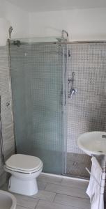 a bathroom with a shower and a toilet and a sink at Villa Eidos b&b in Domicella