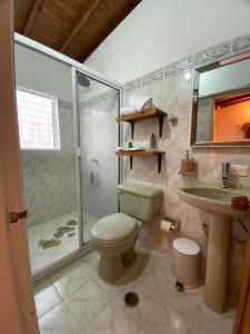 uma casa de banho com um WC, um chuveiro e um lavatório. em Selva María Hotel Boutique em Santa Fe de Antioquia