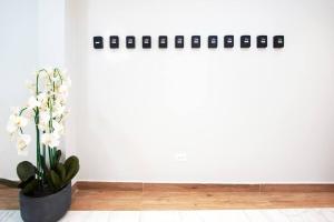 a white wall with a vase with white flowers at Comfy Love Nest w/ Private Pacific View in Panama City