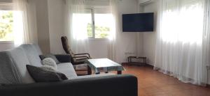 sala de estar con sofá y TV en Apartamento rural NÍVALIS, en Nívar
