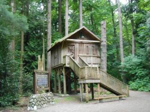 a tree house in the middle of a forest at JESI'S NEW HOUSE, Self Enter 2BR, Whole Suite, Close to White Rock Beach & US Border in Surrey