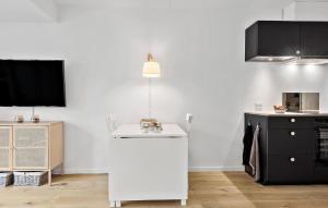 Kuchyňa alebo kuchynka v ubytovaní Beautiful Apartment In Helsingør