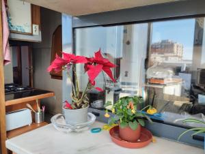 uma mesa com duas flores vermelhas numa janela em Sweets Suites em Espinho