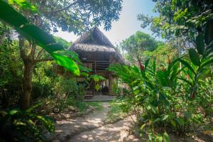 Ahmadi huis in de jungle met een pad dat er naar toe leidt bij Casa Moringa in Palomino
